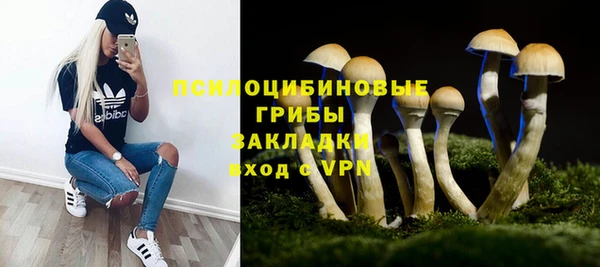 хмурый Белокуриха