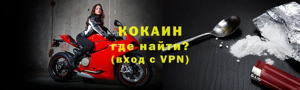 хмурый Белокуриха