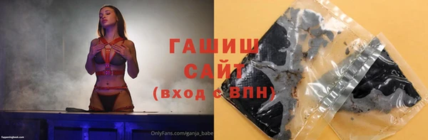 хмурый Белокуриха