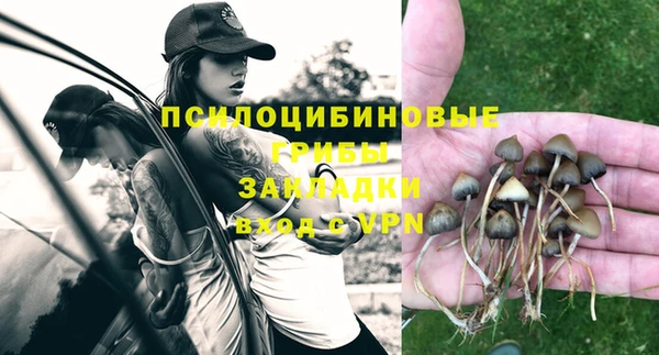 метадон Беломорск