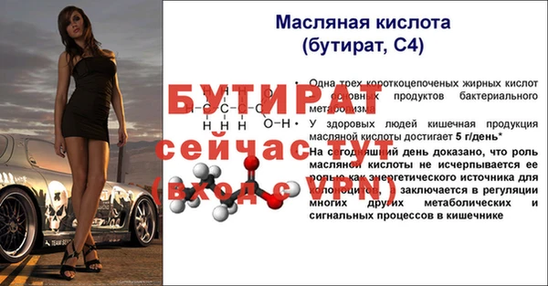 хмурый Белокуриха