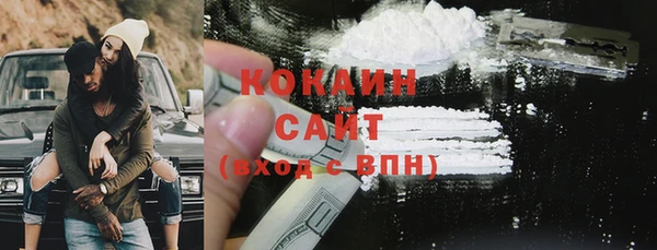 хмурый Белокуриха