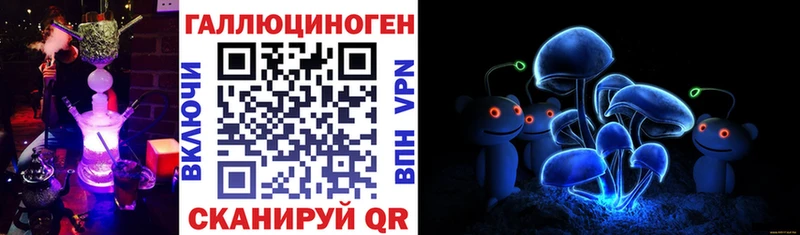 это какой сайт  Гулькевичи  Псилоцибиновые грибы MAGIC MUSHROOMS 